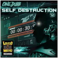 Self_Destruction