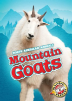 Mountain_Goats