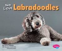 You_ll_Love_Labradoodles