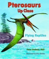 Pterosaurs_up_close
