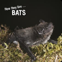 How_they_live____Bats