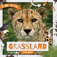 Grassland_Food_Webs