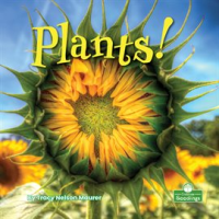 Plants_